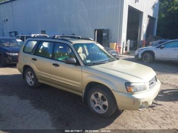  Salvage Subaru Forester