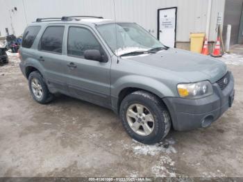  Salvage Ford Escape