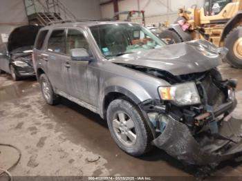  Salvage Ford Escape