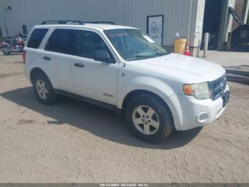  Salvage Ford Escape