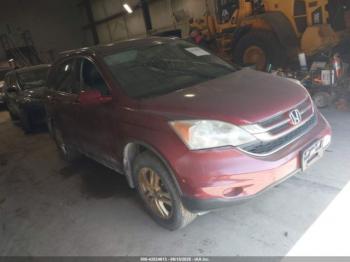  Salvage Honda CR-V
