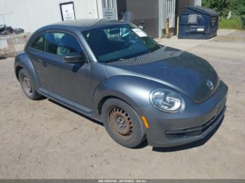  Salvage Volkswagen Beetle