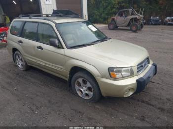  Salvage Subaru Forester