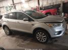Ford Escape Titanium Image 7