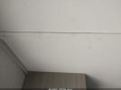 Coleman Other Image 5