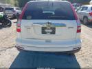 Honda CR-V Ex Image 17