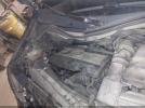 Volkswagen Tiguan Se Image 9