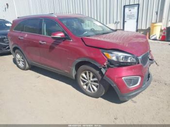  Salvage Kia Sorento