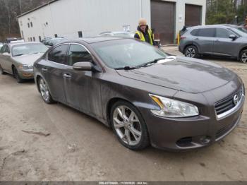  Salvage Nissan Maxima