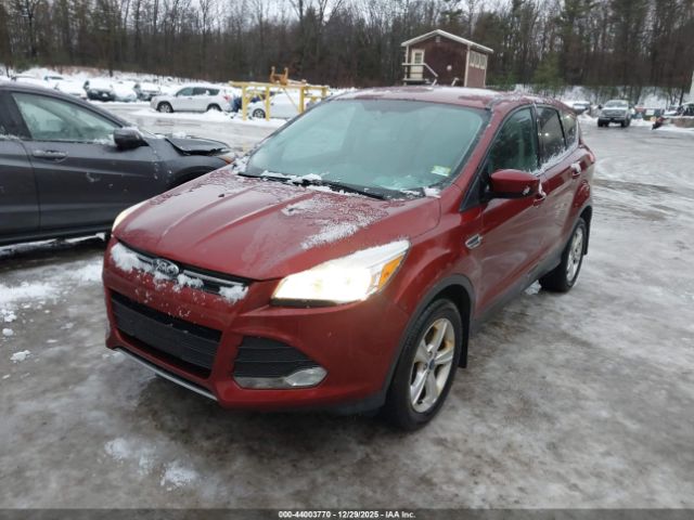 Ford Escape Se Image 6