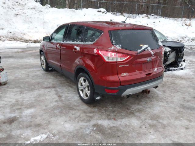 Ford Escape Se Image 5