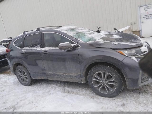 Honda CR-V Awd Ex-l Image 5