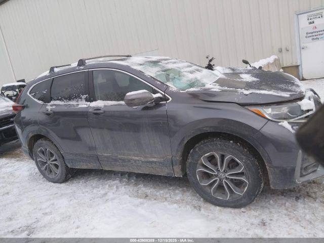 Honda CR-V Awd Ex-l Image 5