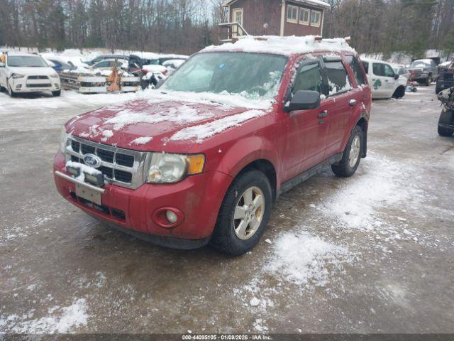 Ford Escape Xlt Image 2