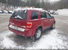 Ford Escape Xlt Image 11